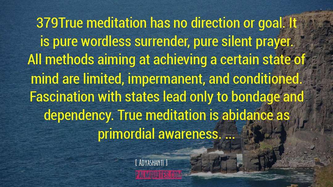 True Meditation quotes by Adyashanti