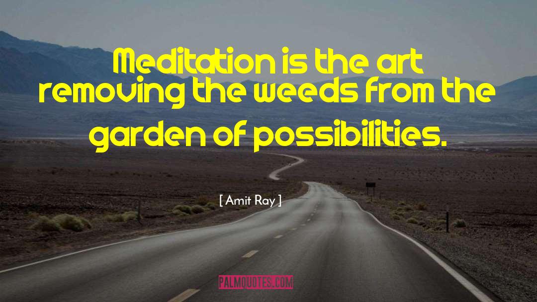 True Meditation quotes by Amit Ray