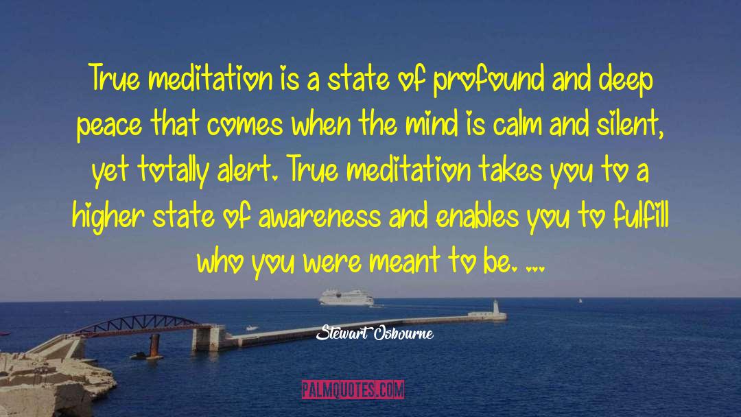 True Meditation quotes by Stewart Osbourne