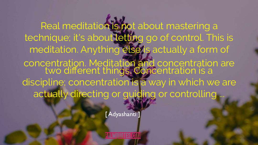 True Meditation quotes by Adyashanti