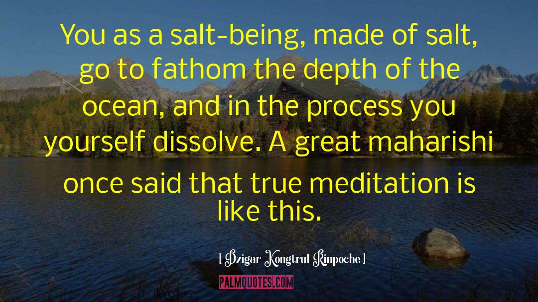 True Meditation quotes by Dzigar Kongtrul Rinpoche