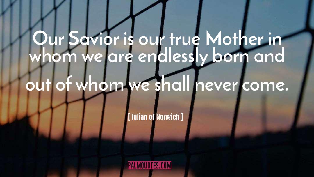 True Mother quotes by Julian Of Norwich