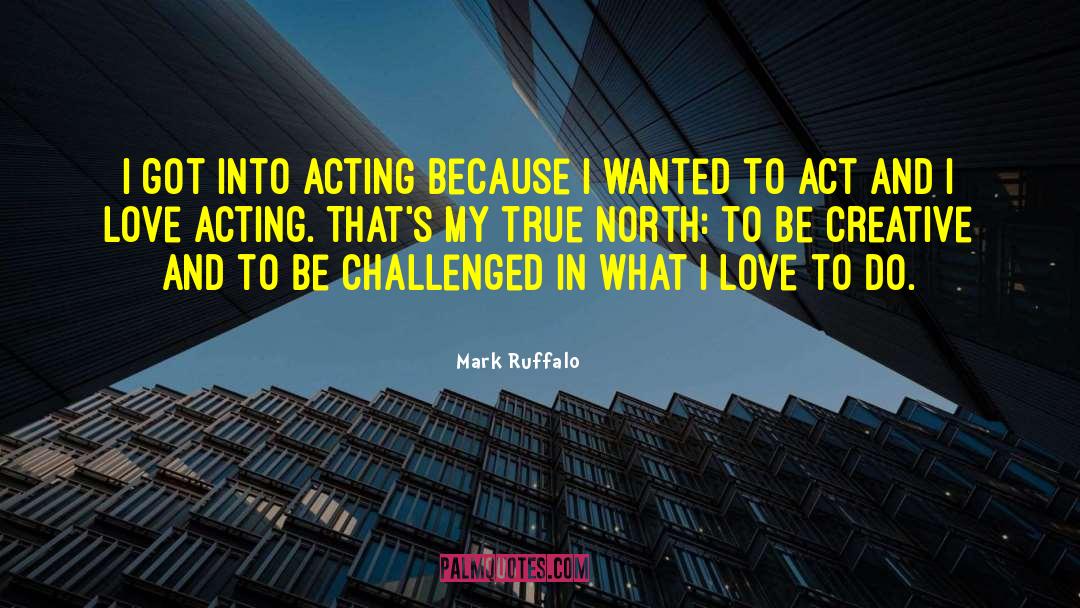True North quotes by Mark Ruffalo