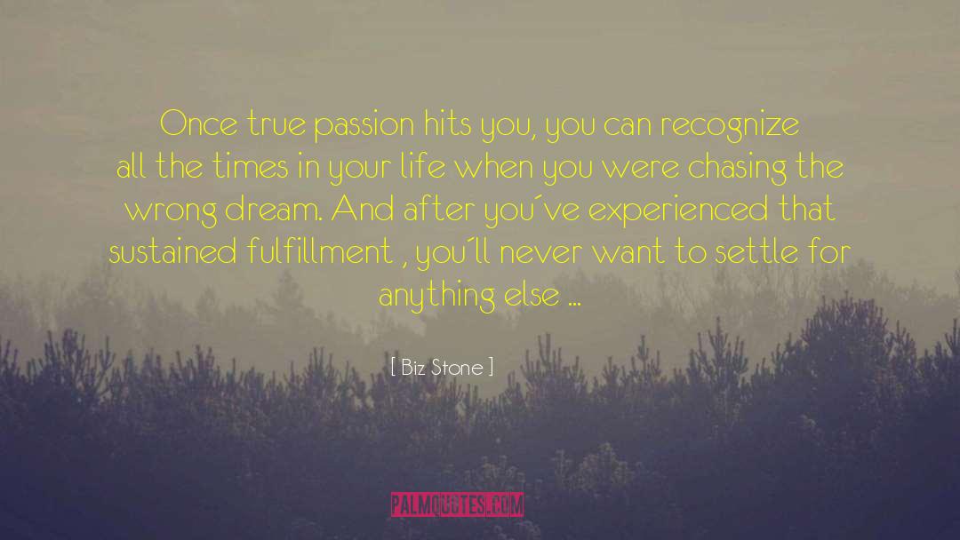 True Passion quotes by Biz Stone