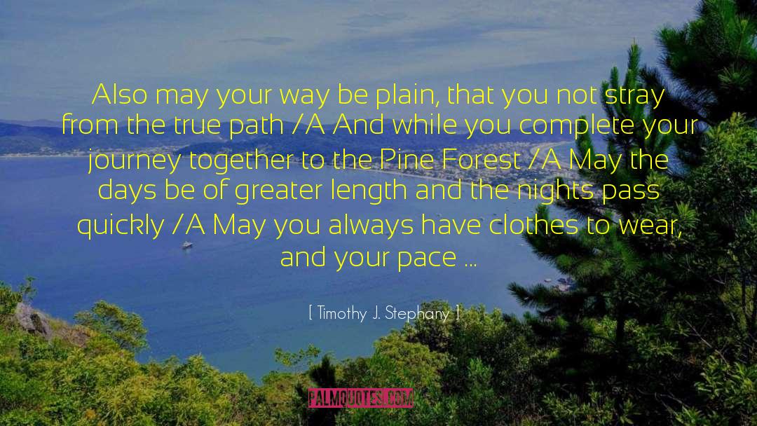 True Path quotes by Timothy J. Stephany