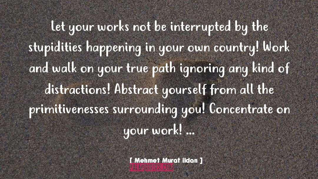 True Path quotes by Mehmet Murat Ildan