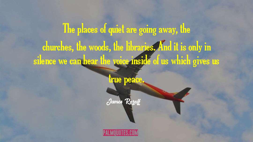 True Peace quotes by James Rozoff