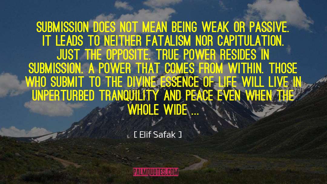 True Power quotes by Elif Safak