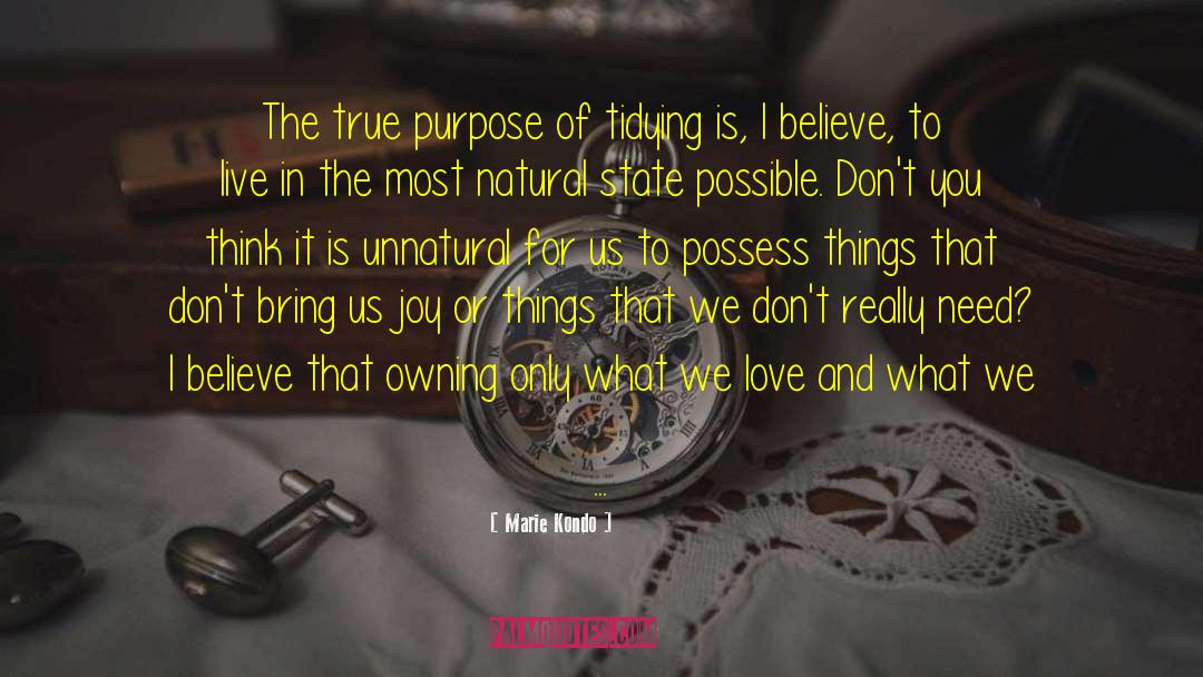 True Purpose quotes by Marie Kondo