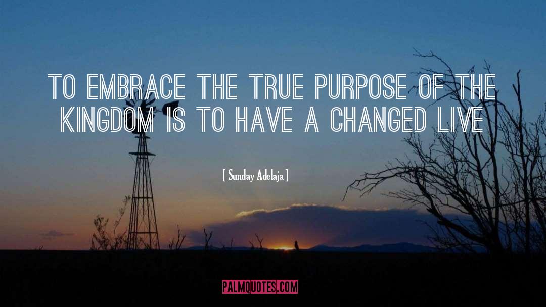 True Purpose quotes by Sunday Adelaja