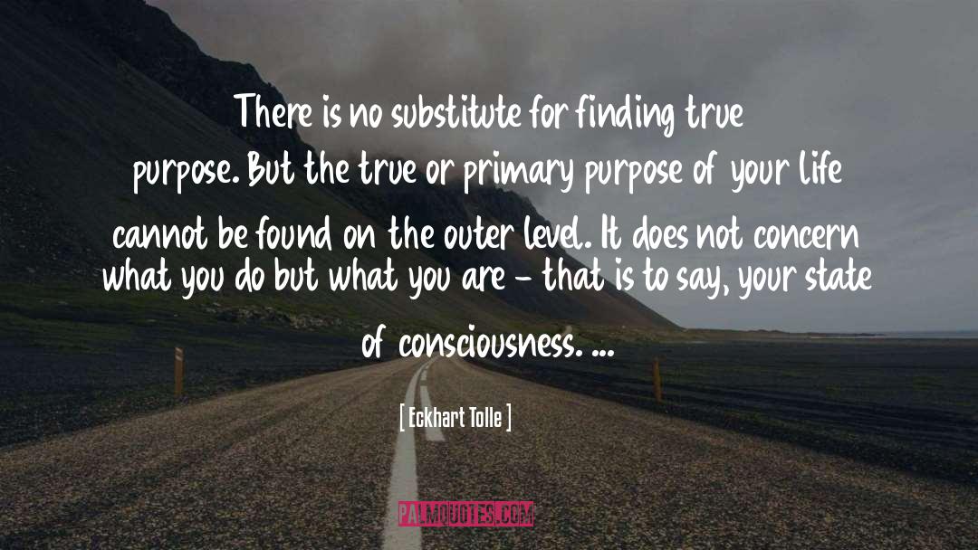 True Purpose quotes by Eckhart Tolle