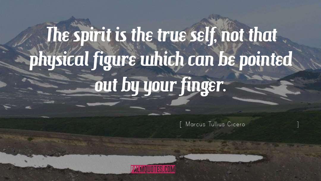 True Self quotes by Marcus Tullius Cicero