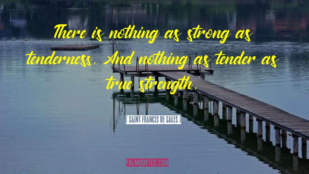 True Strength quotes by Saint Francis De Sales