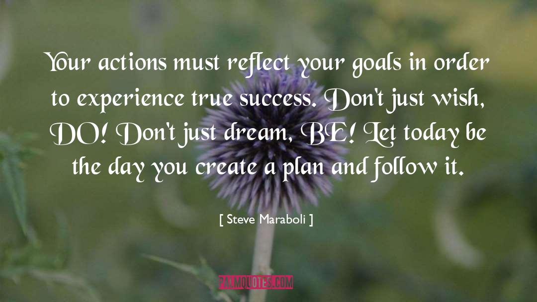 True Success quotes by Steve Maraboli
