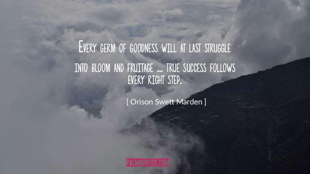 True Success quotes by Orison Swett Marden