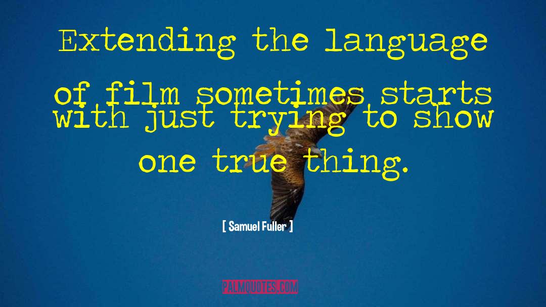 True Things quotes by Samuel Fuller