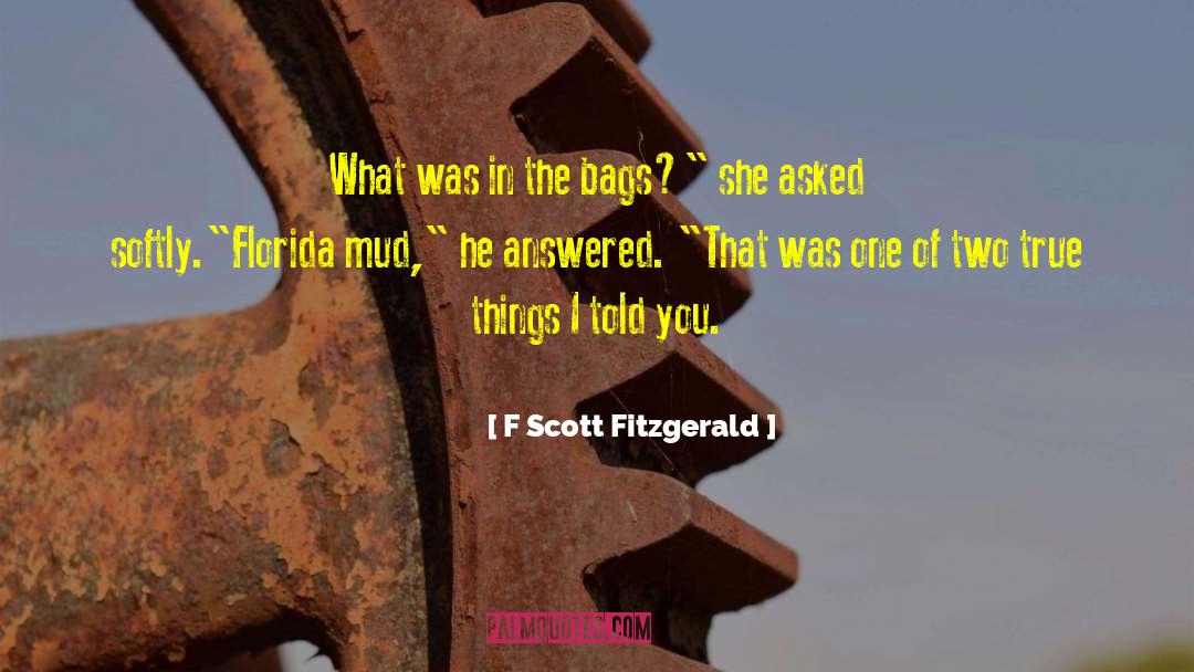 True Things quotes by F Scott Fitzgerald