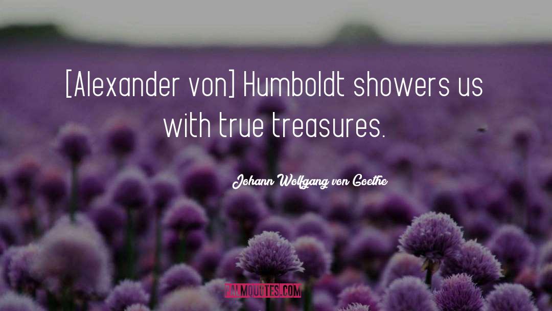 True Treasures quotes by Johann Wolfgang Von Goethe
