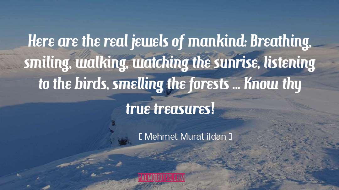 True Treasures quotes by Mehmet Murat Ildan