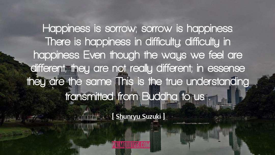 True Understanding quotes by Shunryu Suzuki