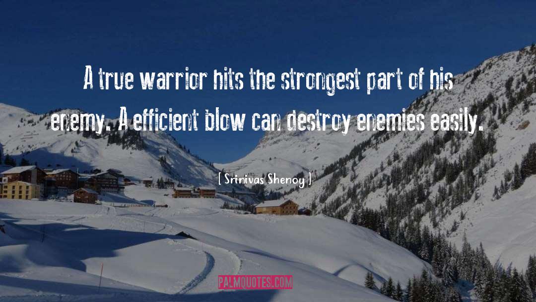 True Warrior quotes by Srinivas Shenoy