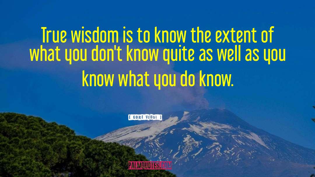 True Wisdom quotes by Gore Vidal