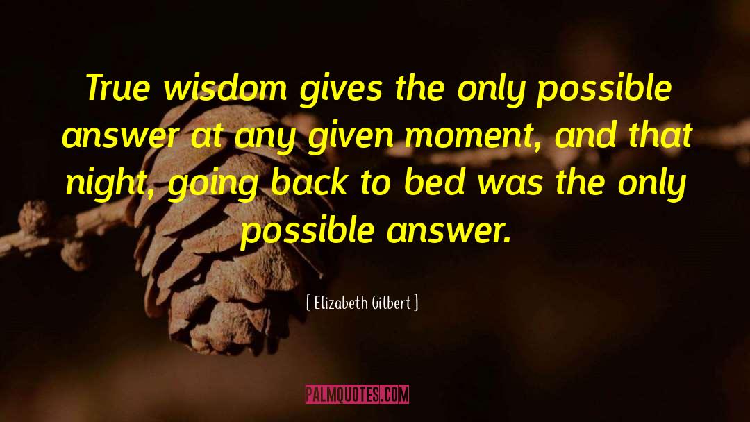 True Wisdom quotes by Elizabeth Gilbert