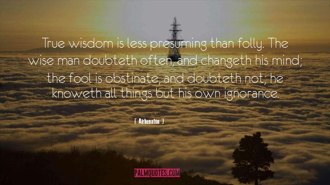 True Wisdom quotes by Akhenaton