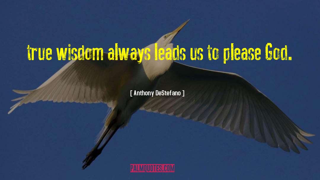 True Wisdom quotes by Anthony DeStefano