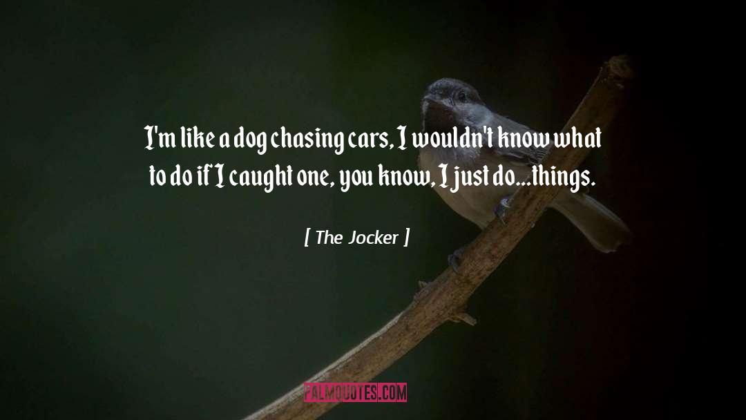 Trump Like A Dog Chasing Cars quotes by The Jocker