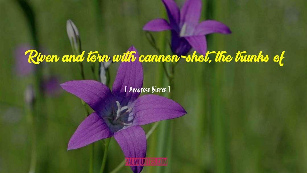 Trunks Best quotes by Ambrose Bierce