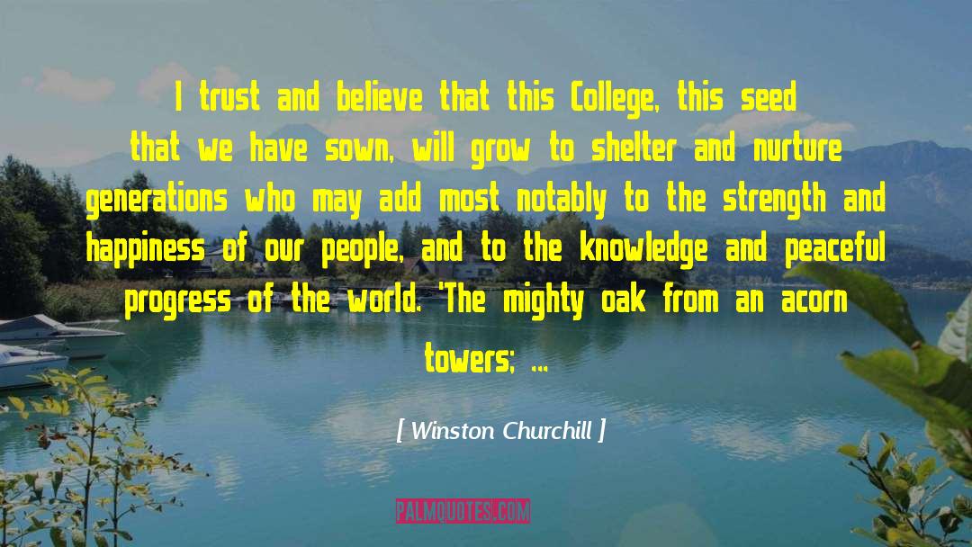 Trust And Believe quotes by Winston Churchill