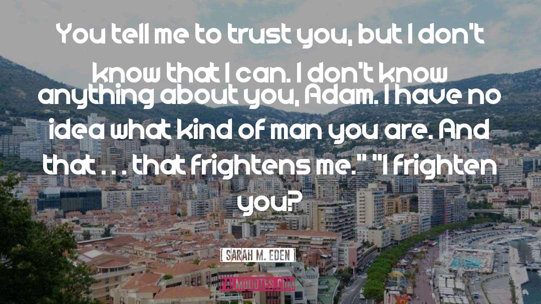 Trust Me I M Lying quotes by Sarah M. Eden