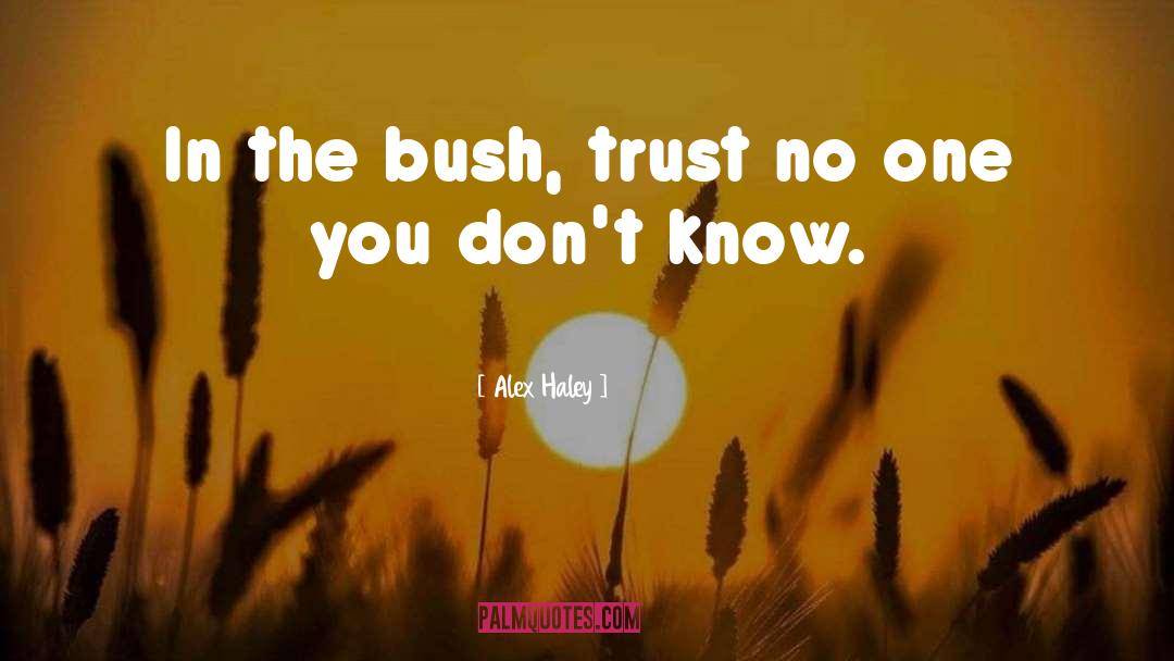 Trust No One quotes by Alex Haley