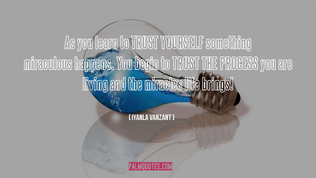 Trust The Process quotes by Iyanla Vanzant