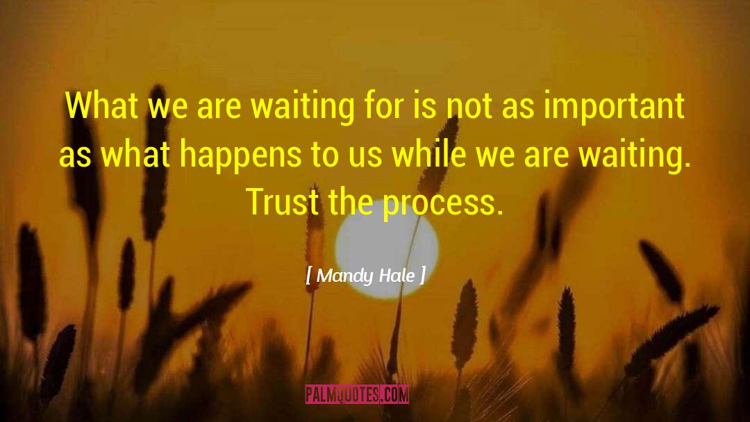 Trust The Process quotes by Mandy Hale