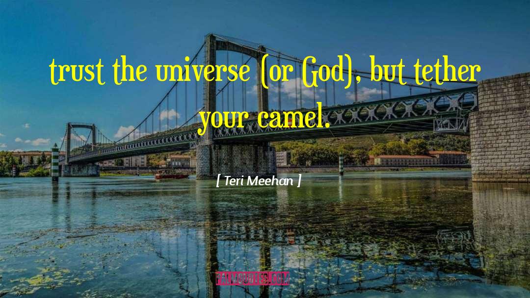 Trust The Universe quotes by Teri Meehan