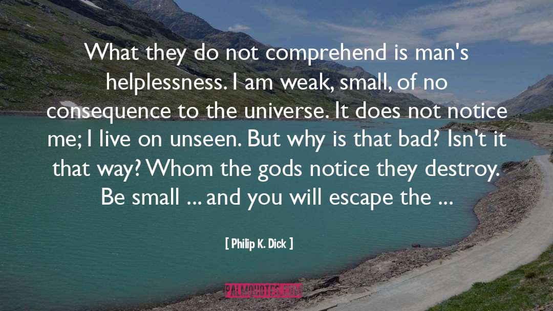Trust The Universe quotes by Philip K. Dick