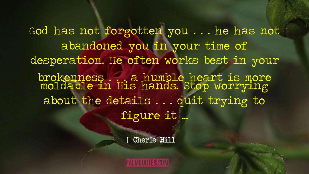 Trust Your Instincts quotes by Cherie Hill