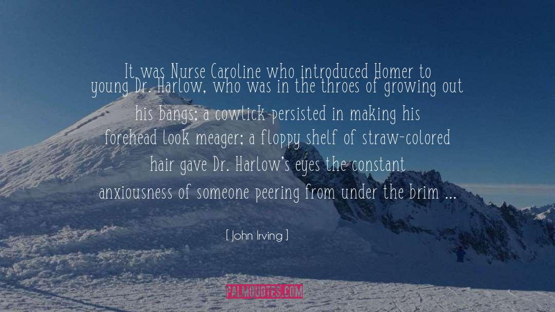 Trustees quotes by John Irving