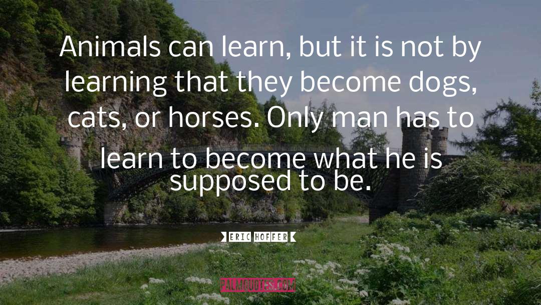 Trusting Animals quotes by Eric Hoffer