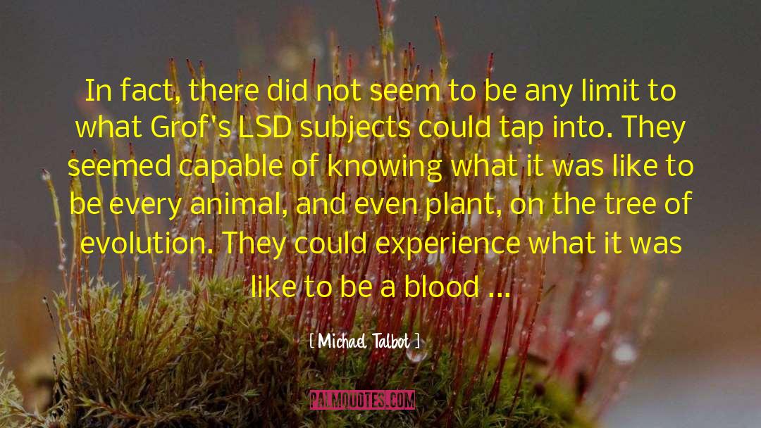 Trusting Spirit Guides quotes by Michael Talbot