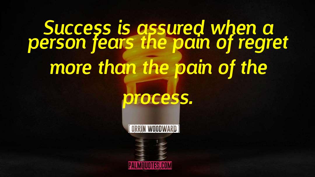 Trusting The Process quotes by Orrin Woodward