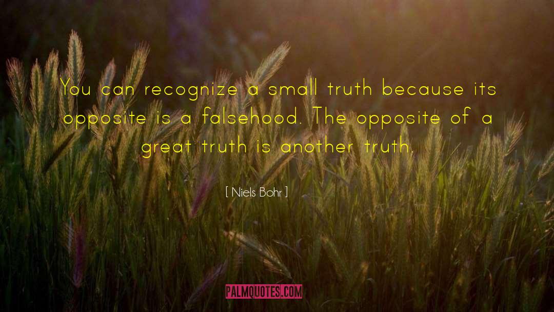 Truth And Falsehood quotes by Niels Bohr