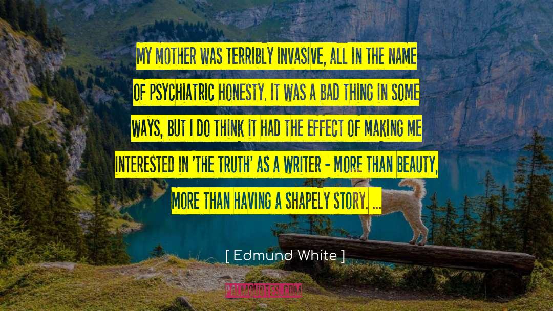 Truth Art quotes by Edmund White