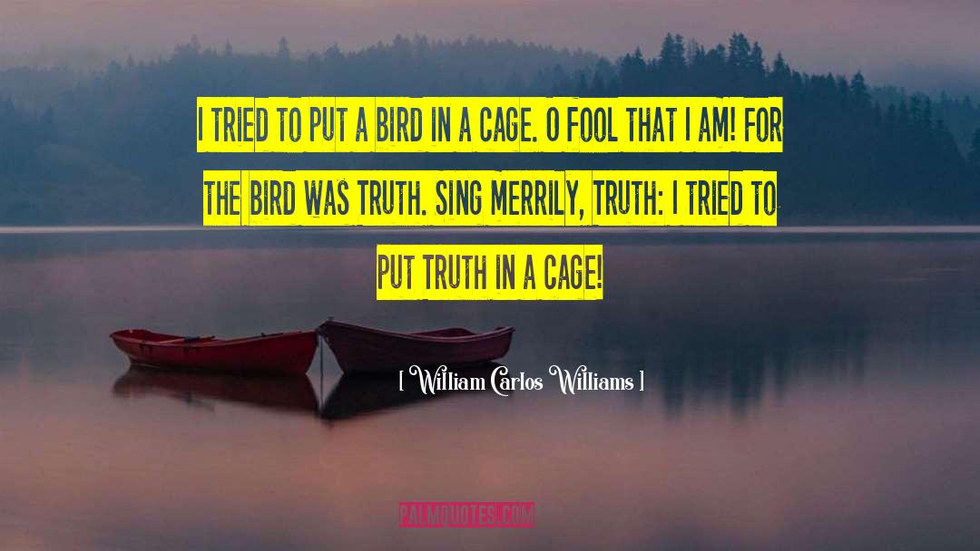 Truth Insprational quotes by William Carlos Williams