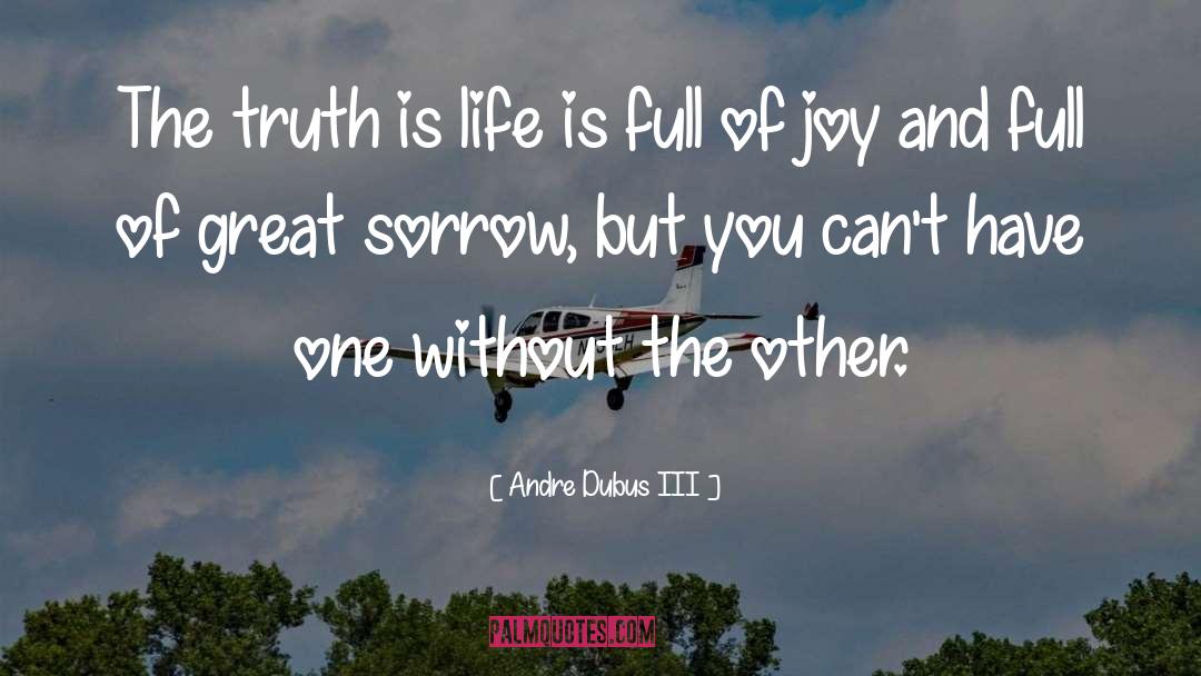 Truth Is Life quotes by Andre Dubus III