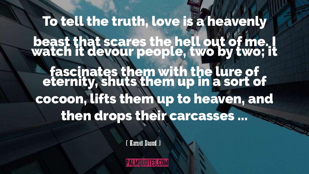 Truth Love quotes by Kamel Daoud