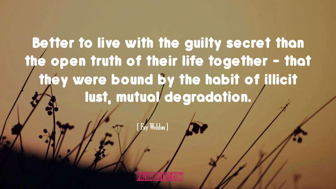 Truth Of Life Truth Of Our Story quotes by Fay Weldon