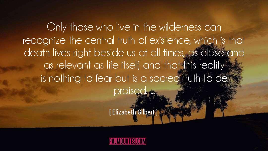 Truth Of Life Truth Of Our Story quotes by Elizabeth Gilbert